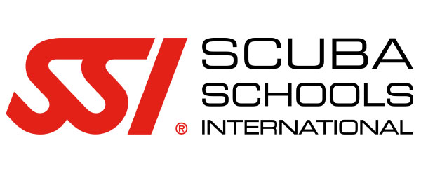 ssi-logo